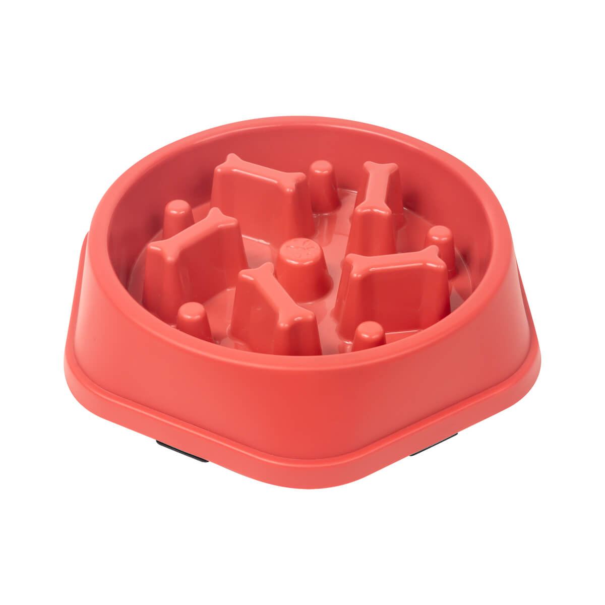 CC2808 - PLATO OSSIS